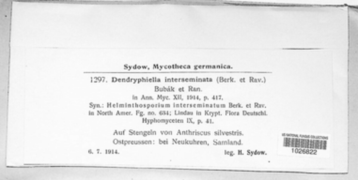 Dendryphion vinosum image